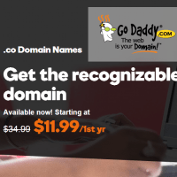 .Co domain at GoDaddy just only $11.99/1st year ( Normally $34.99 )