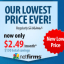 Unlimited hosting at Netfirms only $2.49/month
